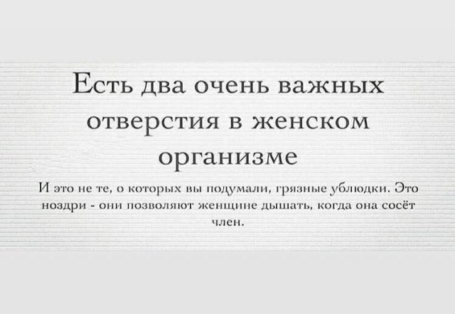 Принцип сосиски