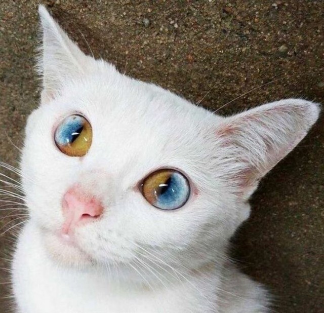 Фотографии, которые заставят вас удивиться