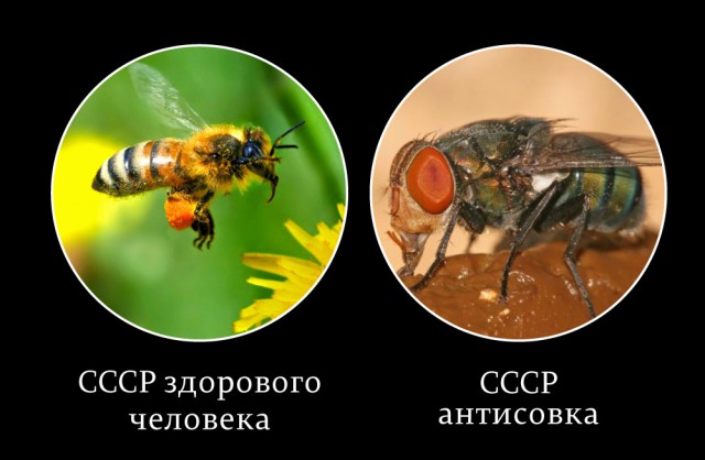 Почему капитализм не подходит для России (наболело)