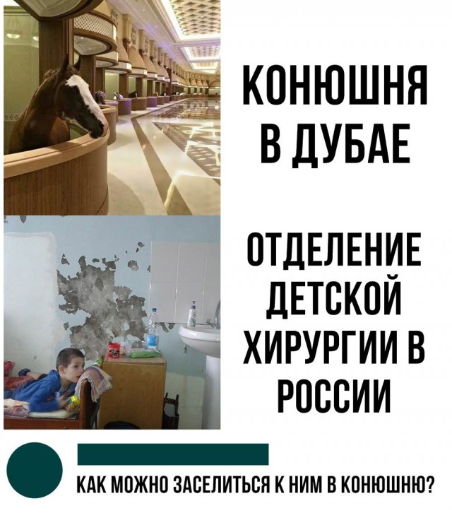 Немного картинок в этот понедельник