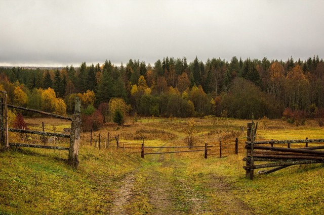 Осень в деревне