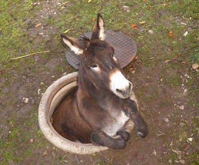 Не самый лучший день