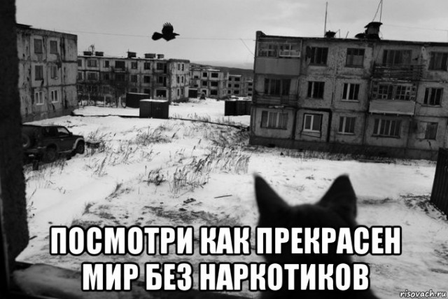 Немного веселых картинок из этих наших интернетов