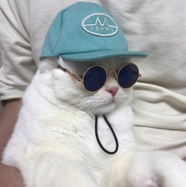 Немного милоты