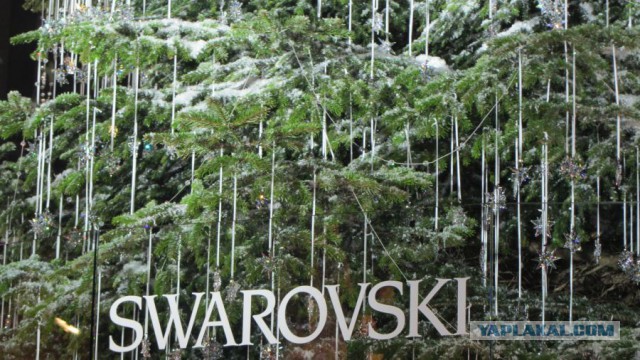 У кого самая дорогая елка на Рублевке?