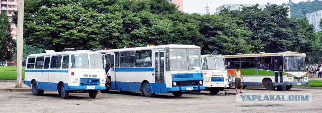 Забытый успех. Автобус ЛАЗ Украина – 67