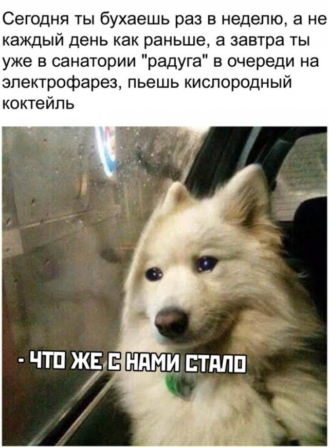 Немного картинок для настроения