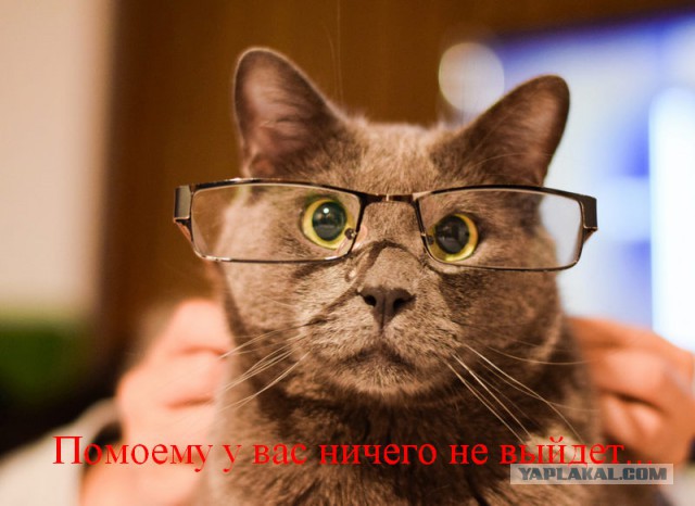Жена позвонила по контакту "Любимая"