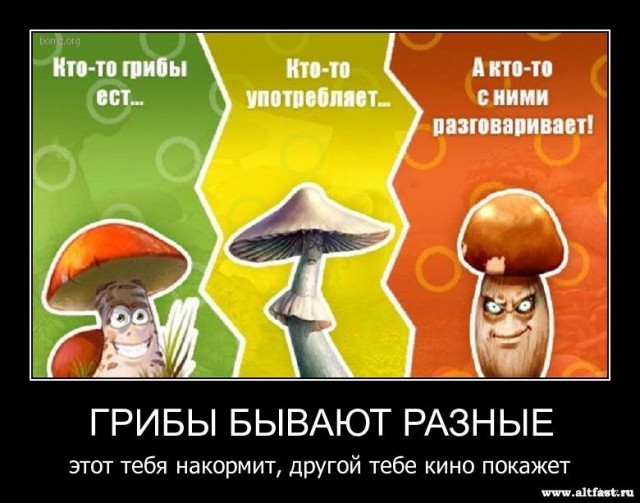 Осталось 6 дней: пришельцы с Нибиру объявили людям войну