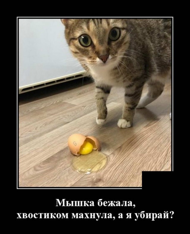 Бредзона 21.06.2020