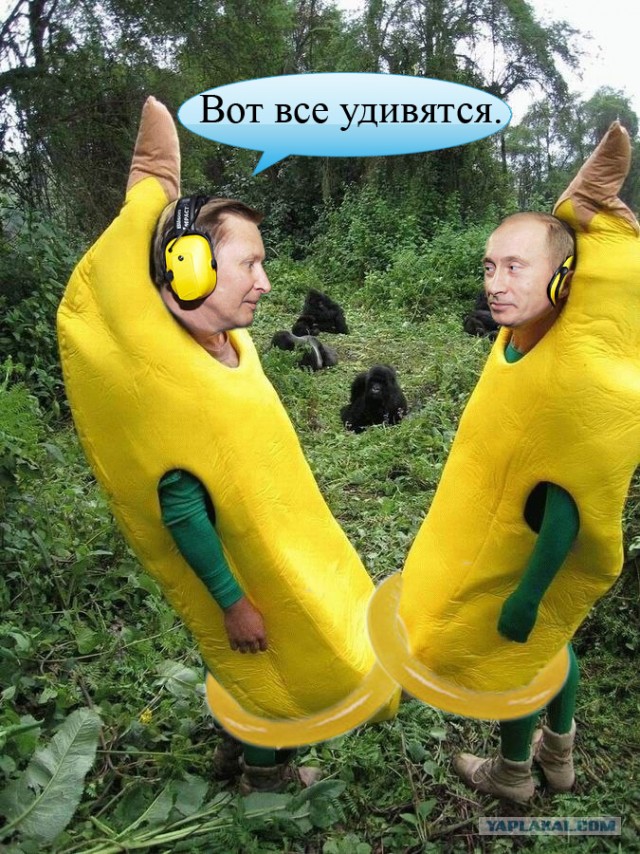 Друзья обезьян
