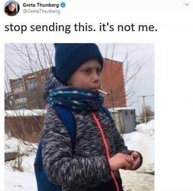 Грета вернулась в школу