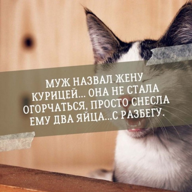 Картинки и мемы для настроения 008
