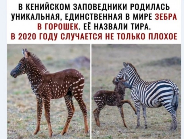 Картинки и мемы для настроения 012