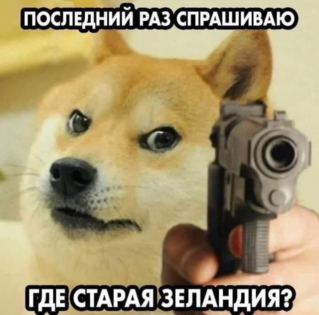 Немного разностей, шалостей и пушистостей