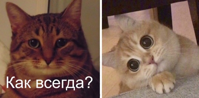 Если хочешь быть здоров...