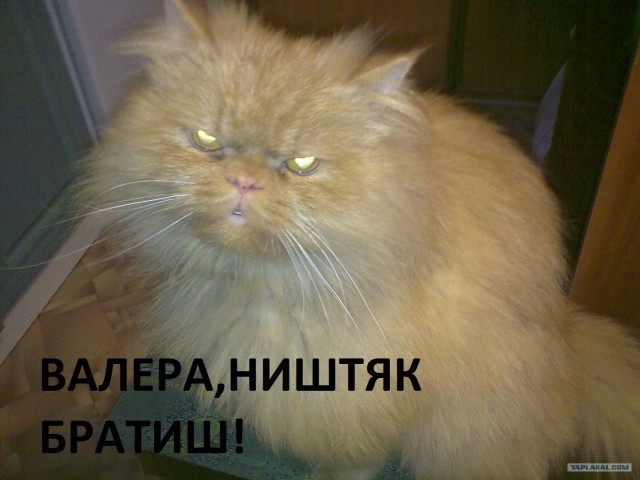 Наркоман Павлик - Олег (7 серия)