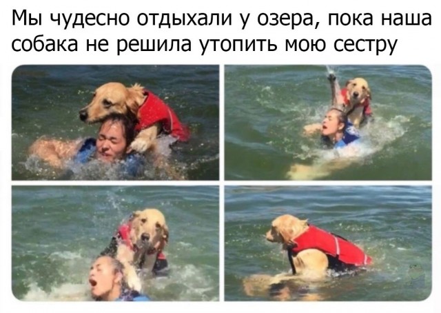 Кретинки  на будни