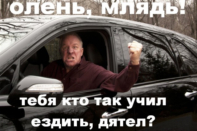 В Нижнем Новгороде представили талисманы празднования 800-летия города