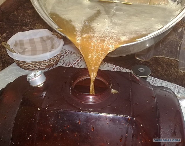 Новый год - International, Новогодне-кулинарная сказка с картинками