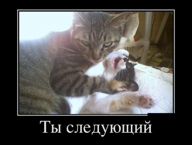 Картинки на вчера