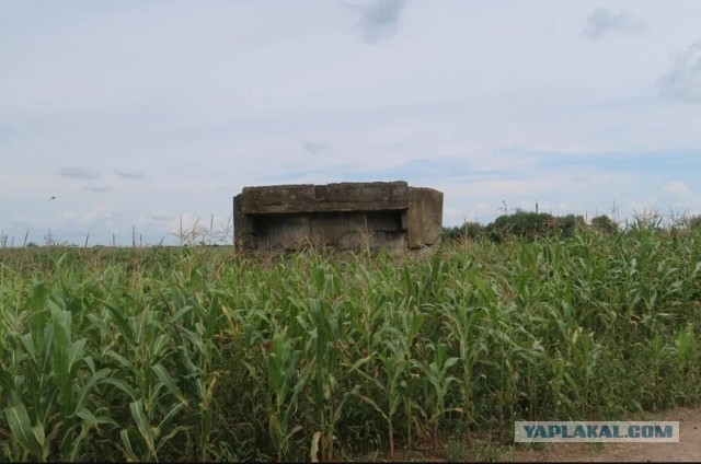 Заброшенные деревни. Уникальная деревня посреди болот