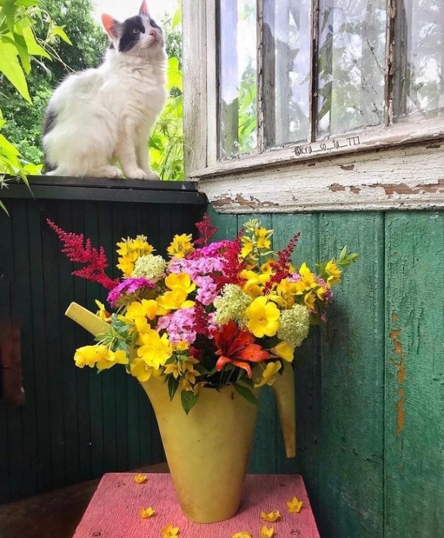 Сам себя считаю