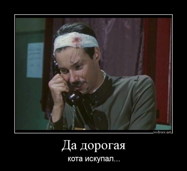 Мыть кота