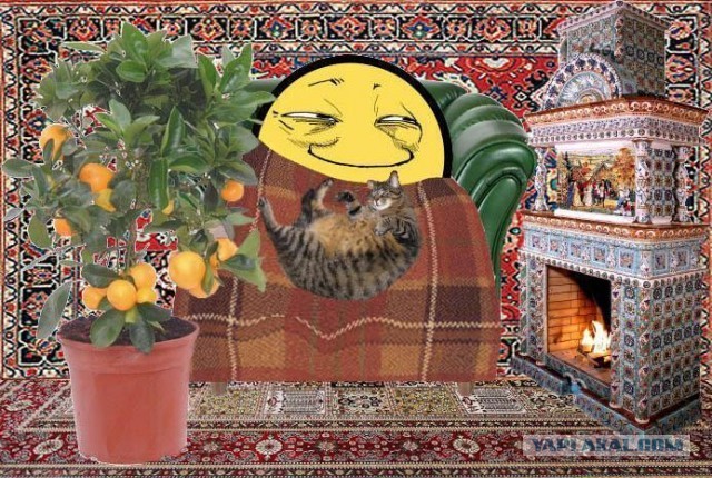 Первый пошел! Доллар упал