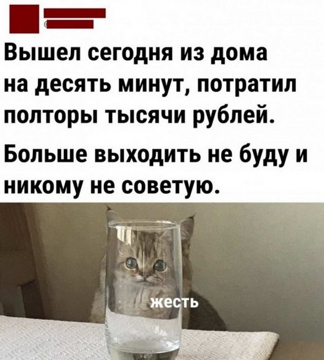 Картинки и мемы для настроения - 21