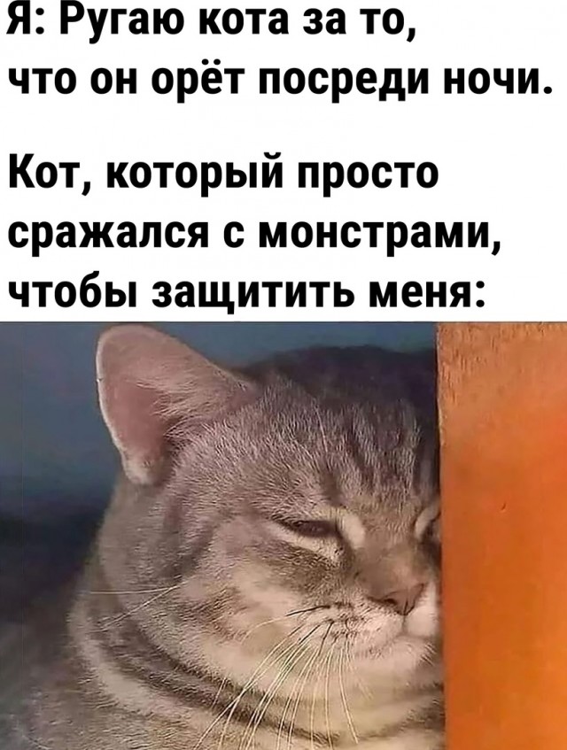 Так себе картинки 08.05.22