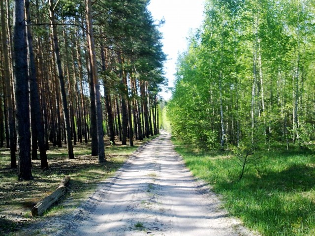 Путешествуем по г.Житомир Украина и его окресности