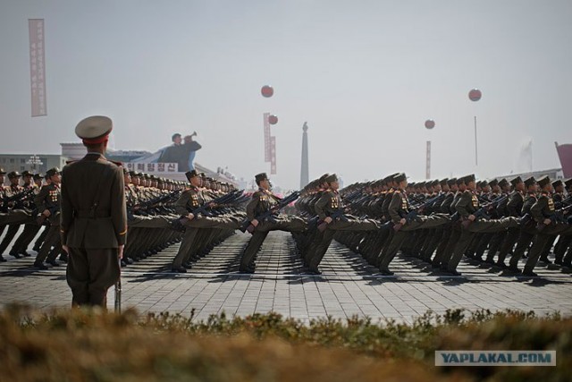 Северная Корея "в цвете"