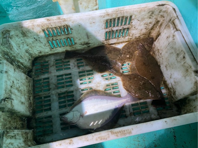 Дары моря
