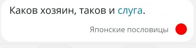 Кадыровцы пообещали разобраться в российских регионах с каждым, кто оскорбит Путина