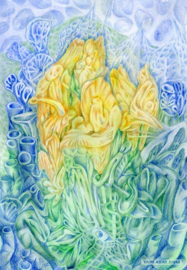 Я рисую