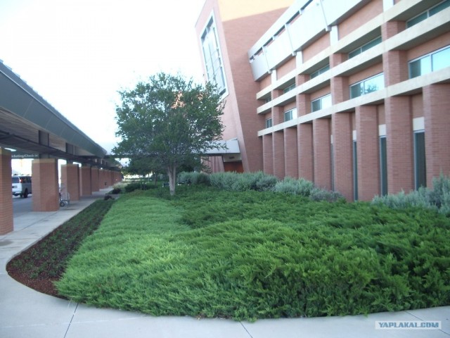 Фотоотчет по штату Техас + музей NASA