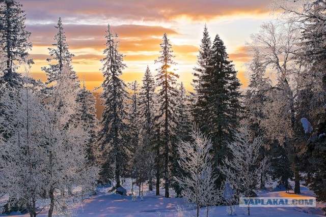 Солнце, небо и лунища