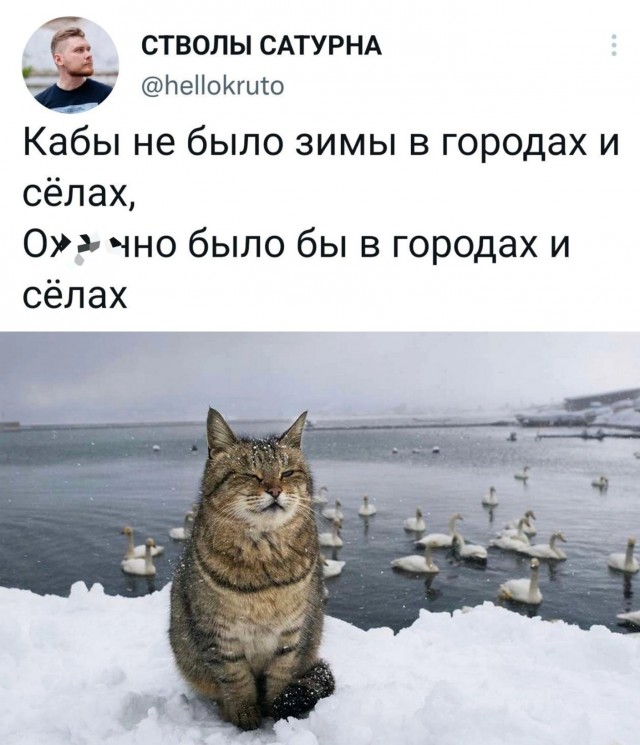 Юмор в картинках и без 20.01.2023