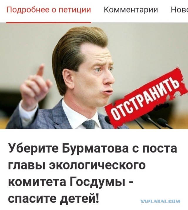 «Я тоже люблю собак». Мэр Бодайбо предложил отстреливать бездомных животных.