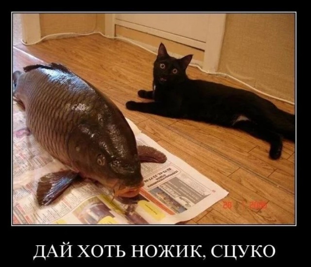 Прикольные и просто красивые картинки 03.02.2023