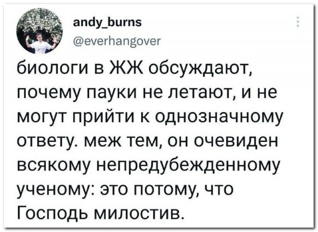 Забавные комментарии из социальных сетей (13.02.23)