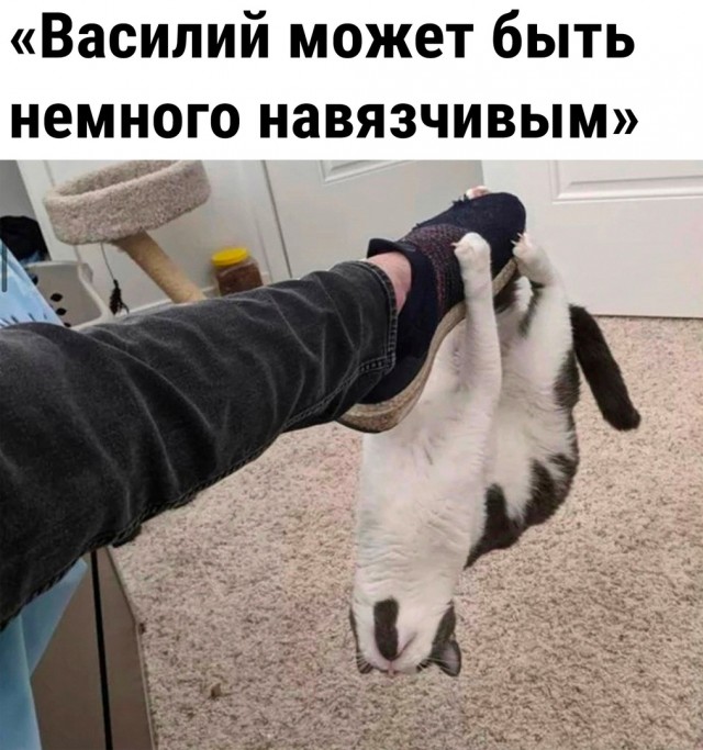 Так себе картинки 22.02.23