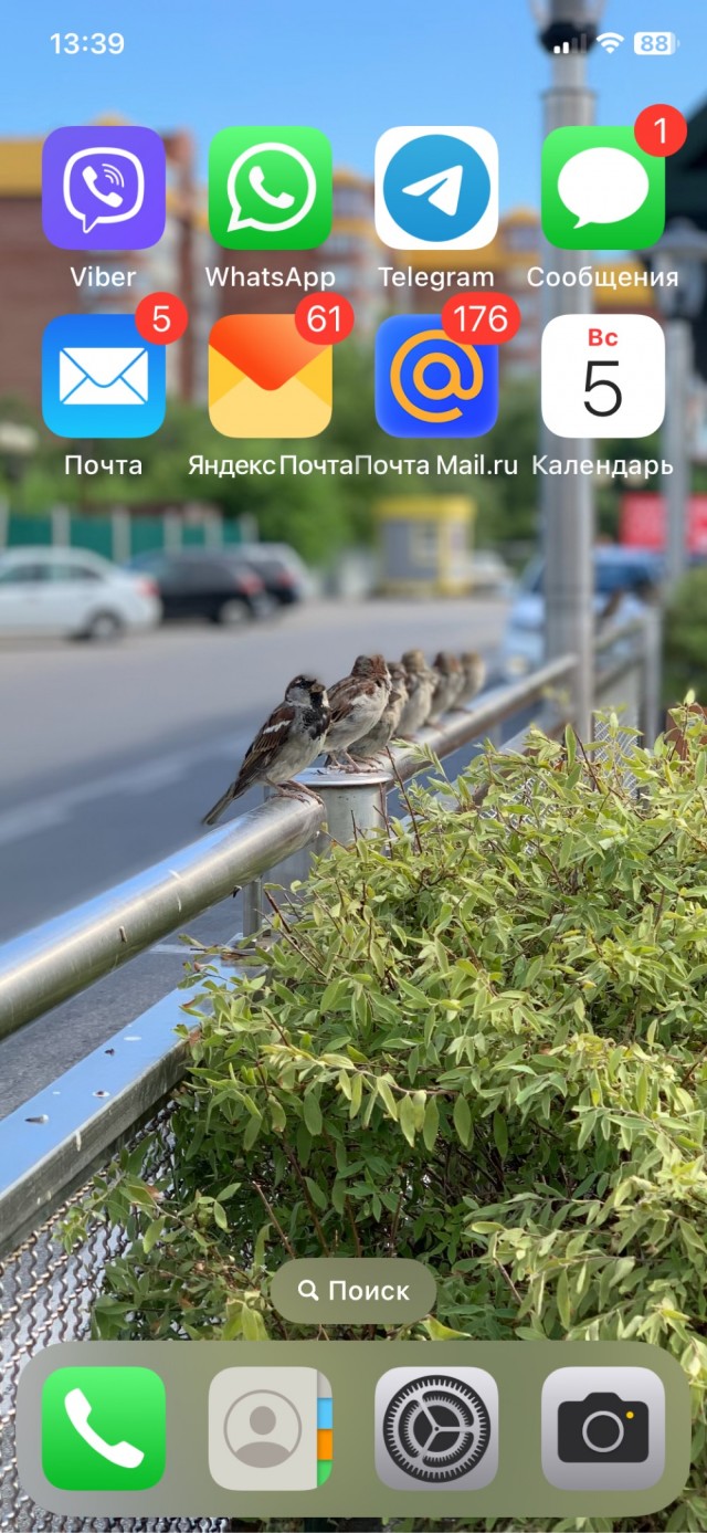 У кого какие обои на телефоне