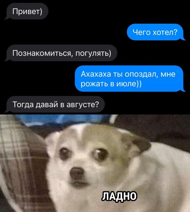 17820392.jpg