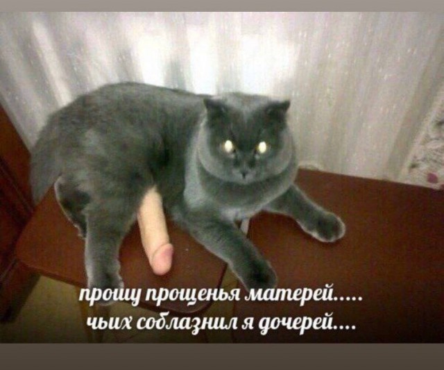 Всего понемногу. От 07.04