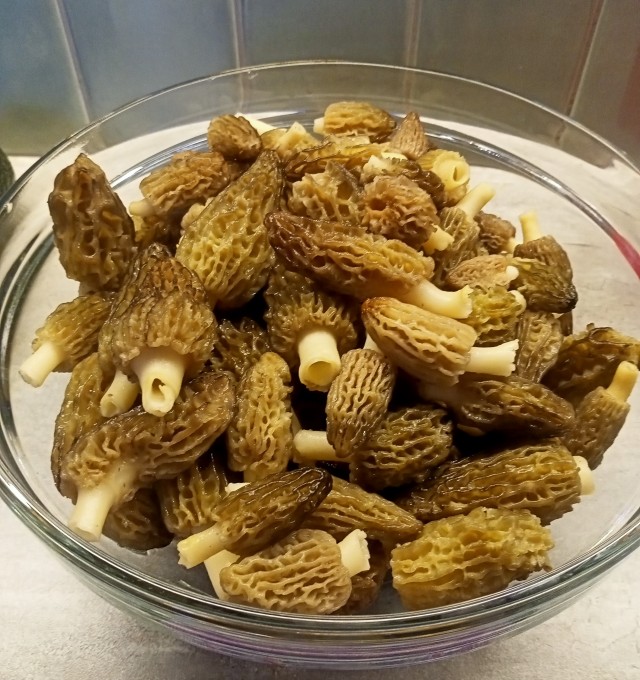 Строчки