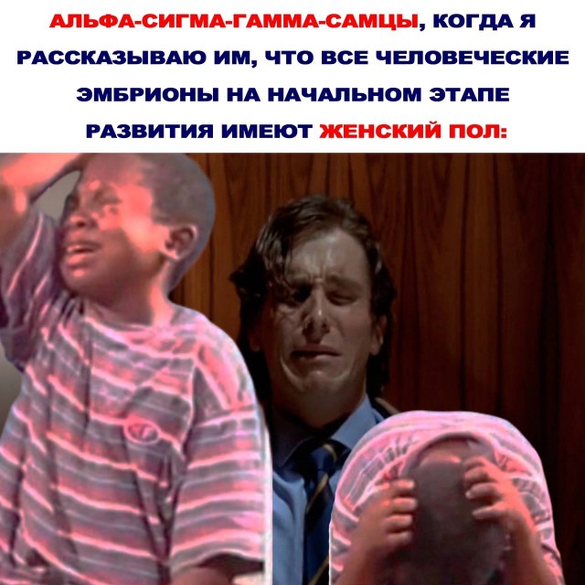 Отмена деградации ІV. Околонаучные картинки