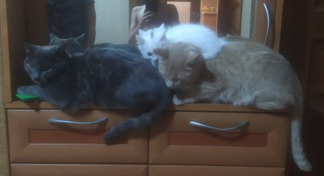 Плюс один раб)