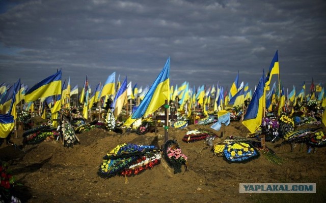 Новые ЗРК сбили 24 самолета за 5 дней!